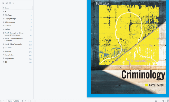 Criminology larry siegel 8th edition