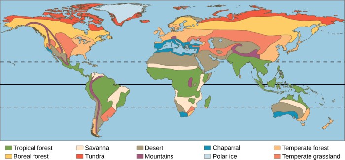 Three main biomes of the united states