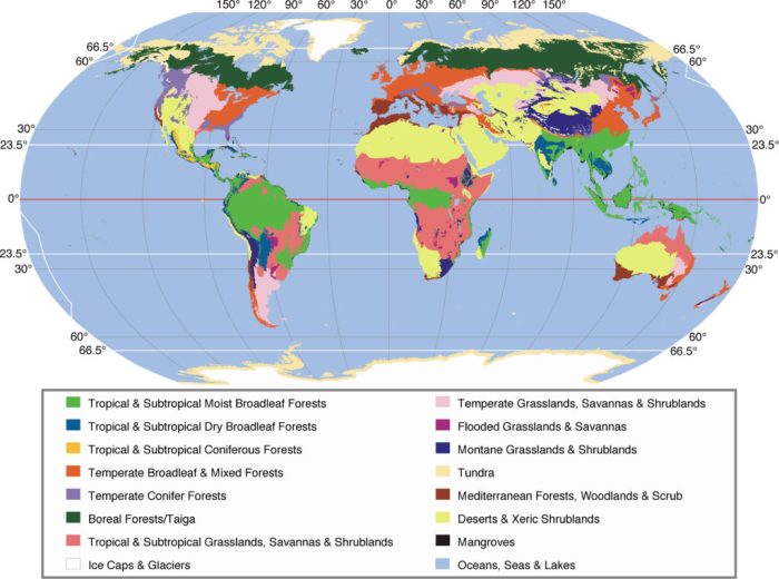 Map usa biomes