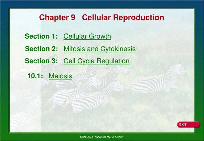 Chapter 9 section 1 cellular growth