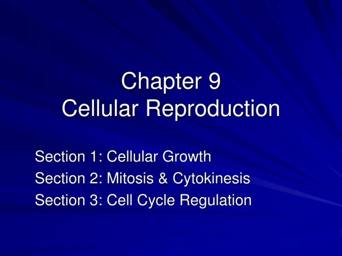 Chapter 9 section 1 cellular growth