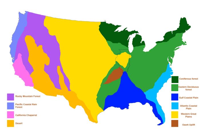 Three main biomes of the united states