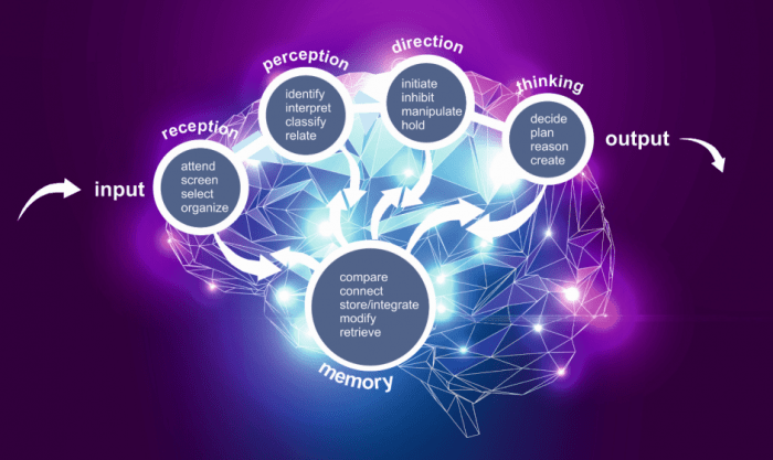 The five categories of cognitive tactics for nerve management include