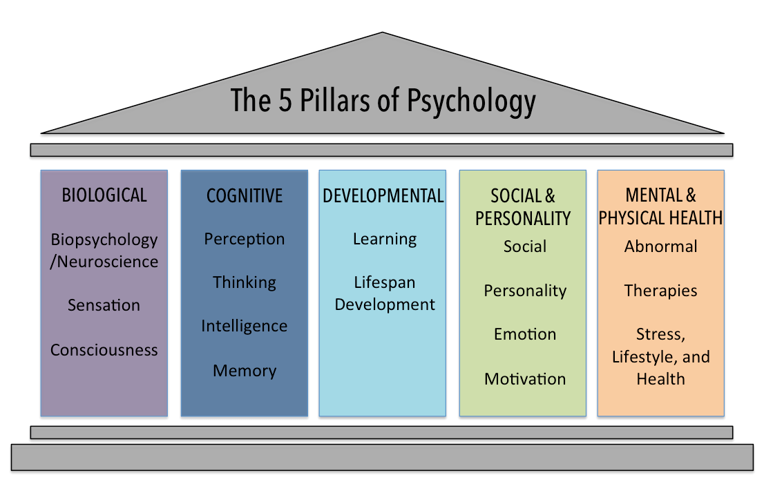 The five categories of cognitive tactics for nerve management include